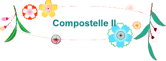 Compostelle II
