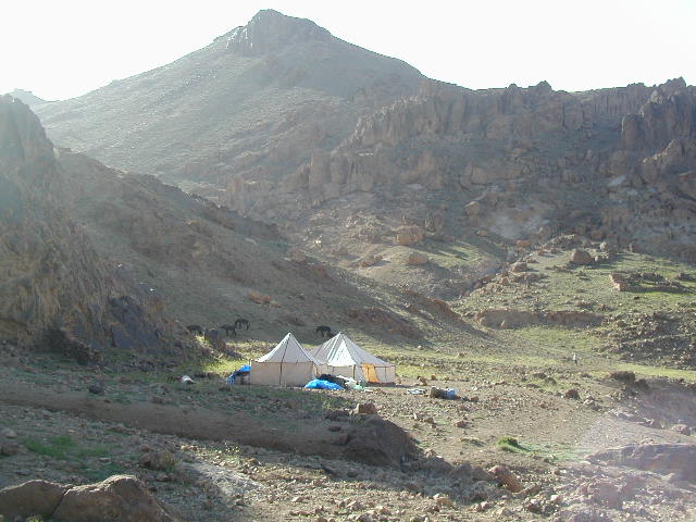 P5010173.jpg