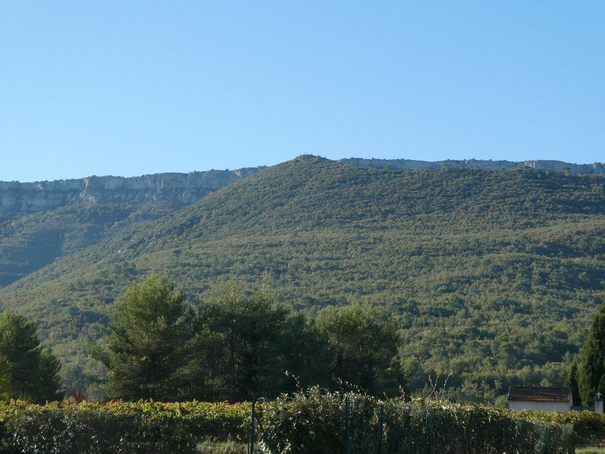 pourcieux_05.jpg