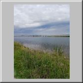 Balmon_55.jpg