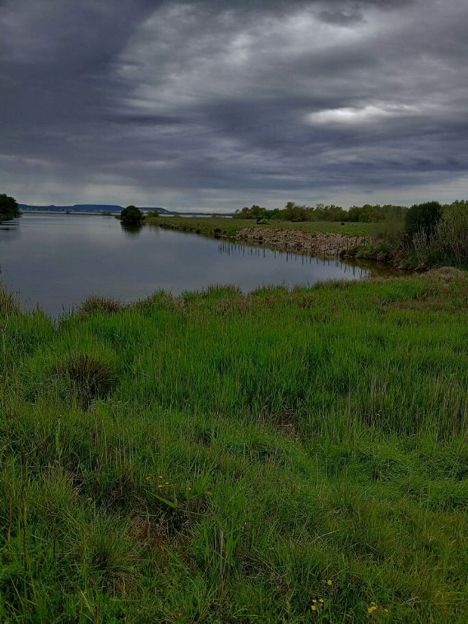 Balmon_58.jpg