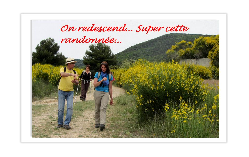 luberon_22.jpg