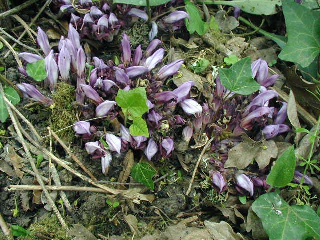 P1010214