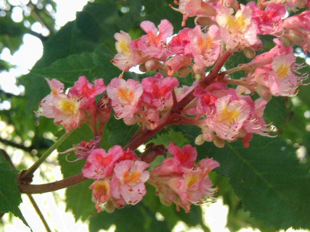 P1010585