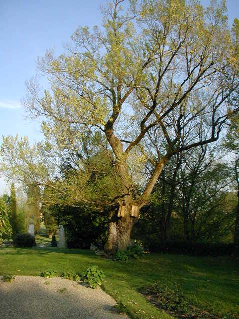 P1010595