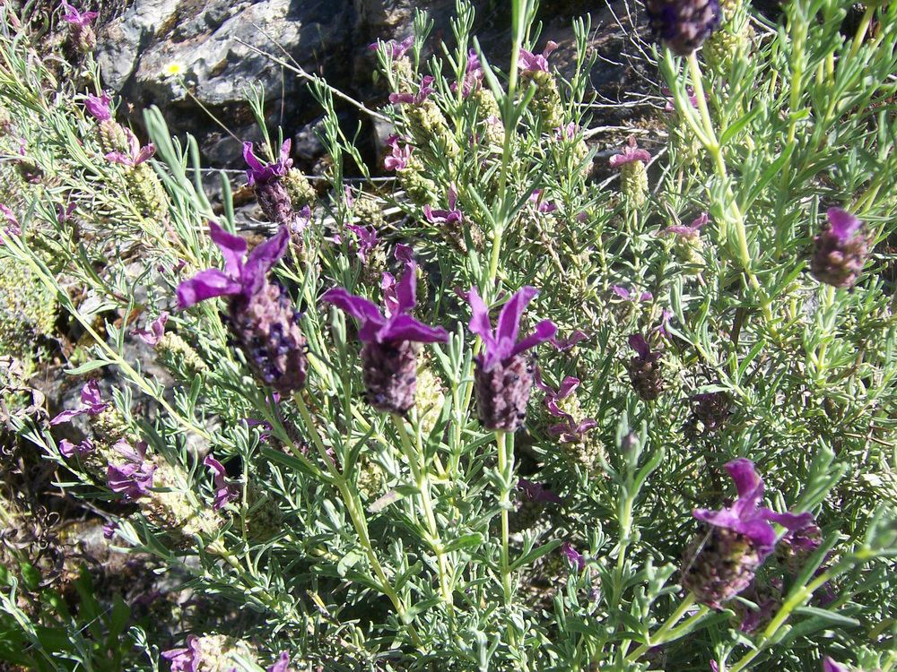 IMG_104.jpg