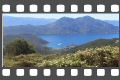 IMG_167.jpg