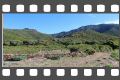 IMG_198.jpg