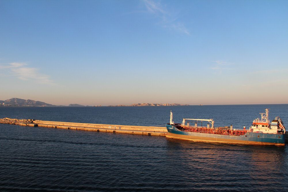 IMG_584.jpg