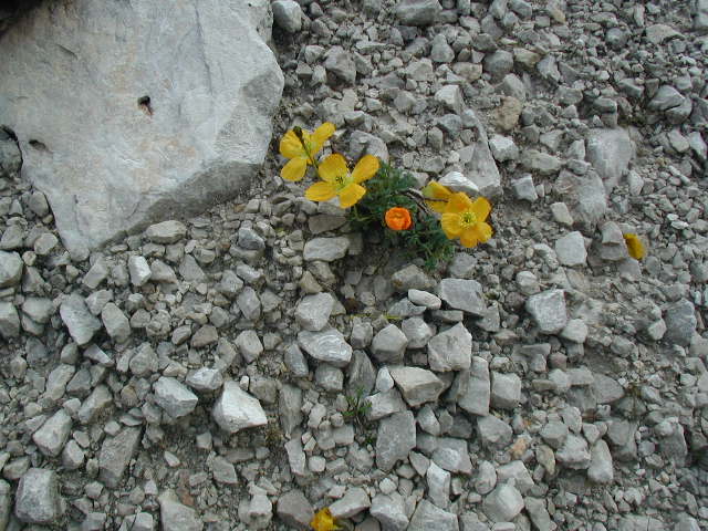 P8050050.JPG
