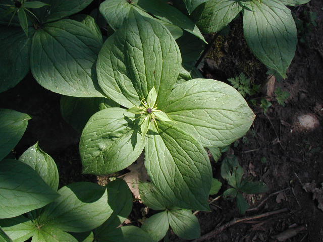J21_083.JPG