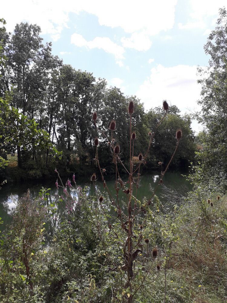 dimanche_45.jpg