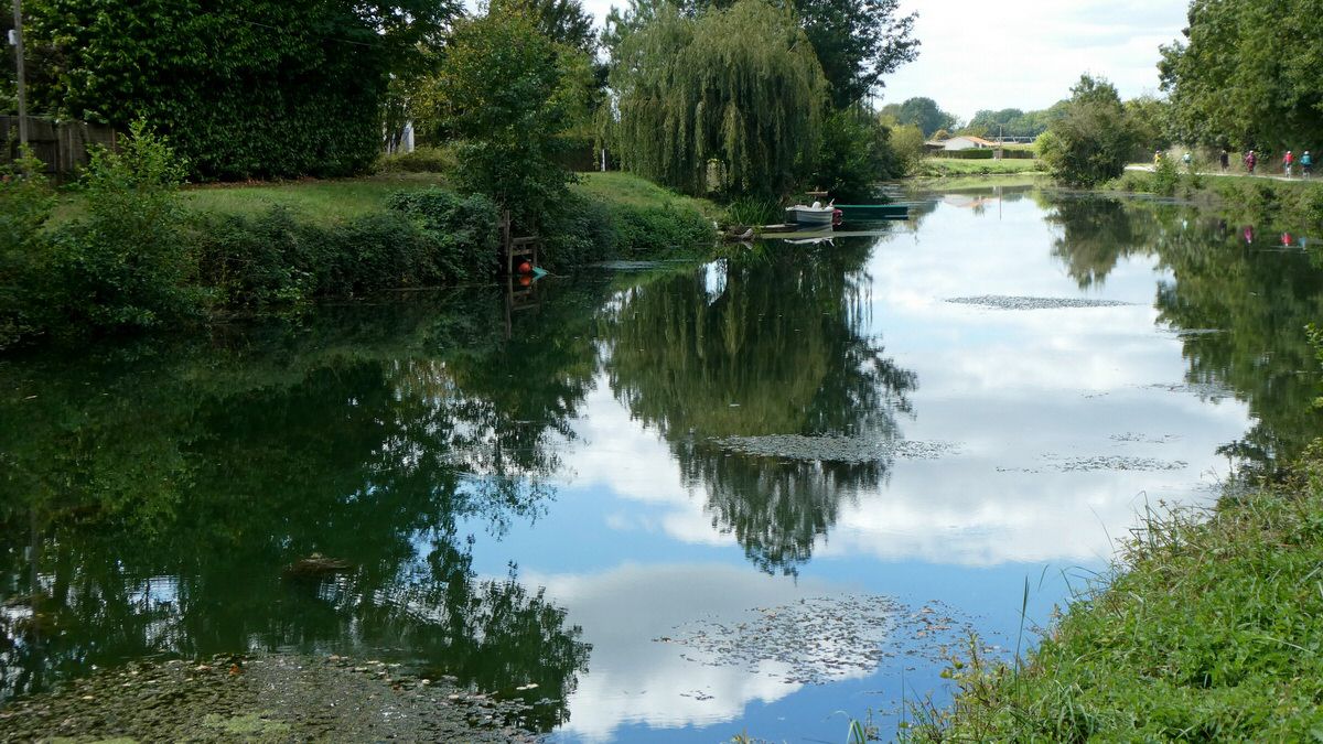 dimanche_54.jpg