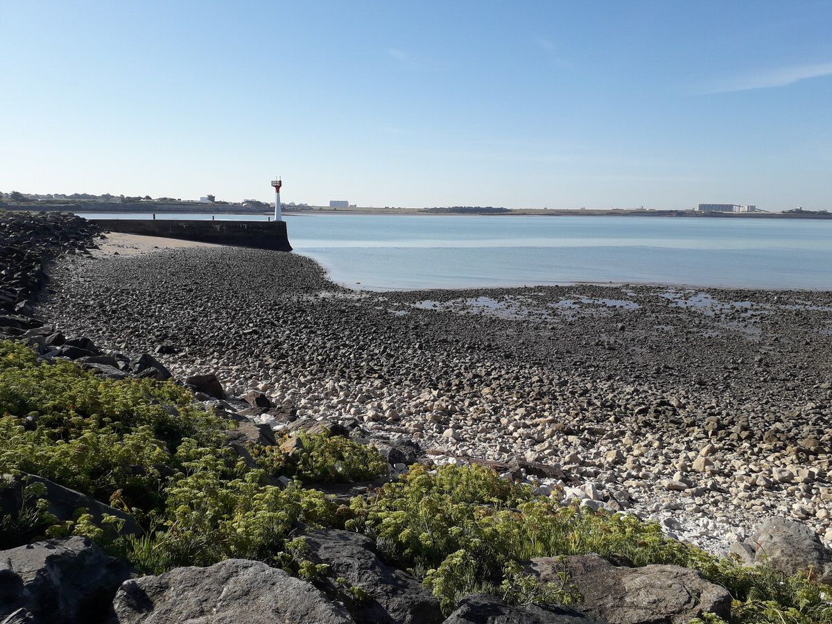 jeudi_008.jpg