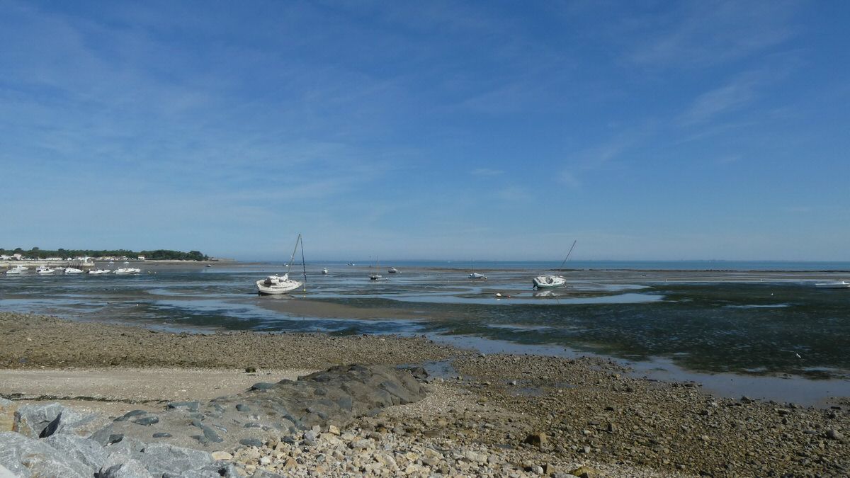 jeudi_034.jpg