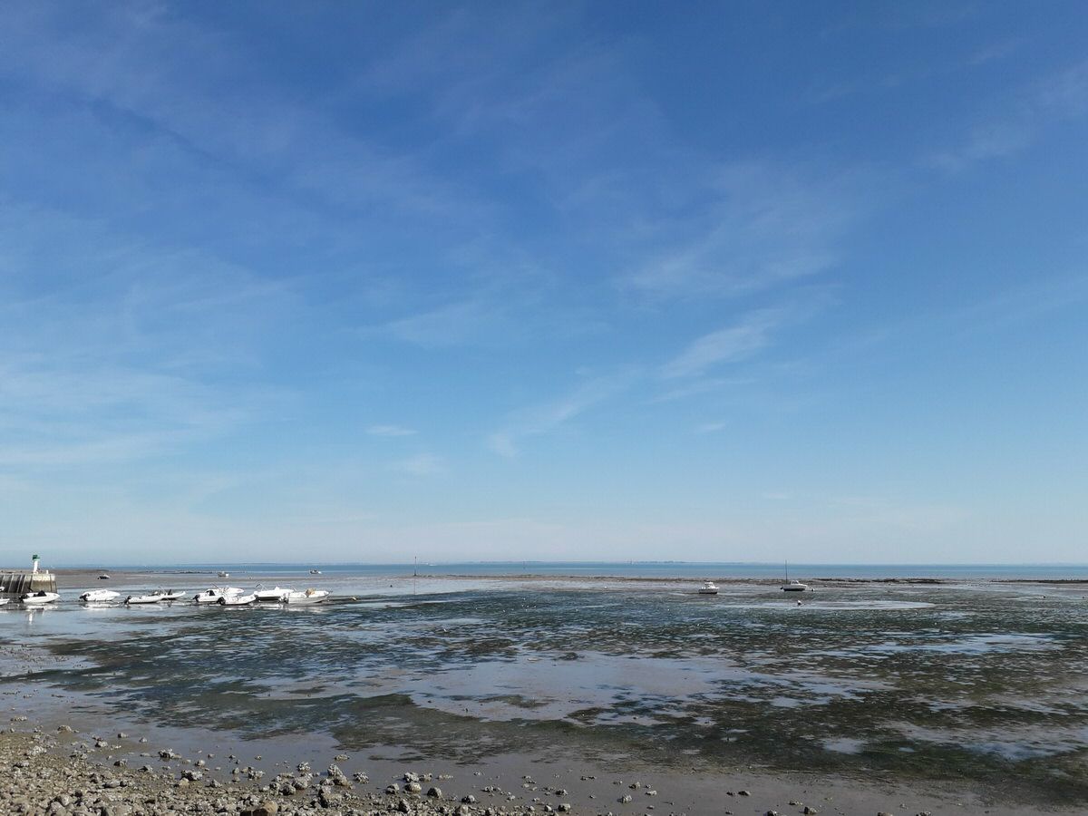 jeudi_042.jpg