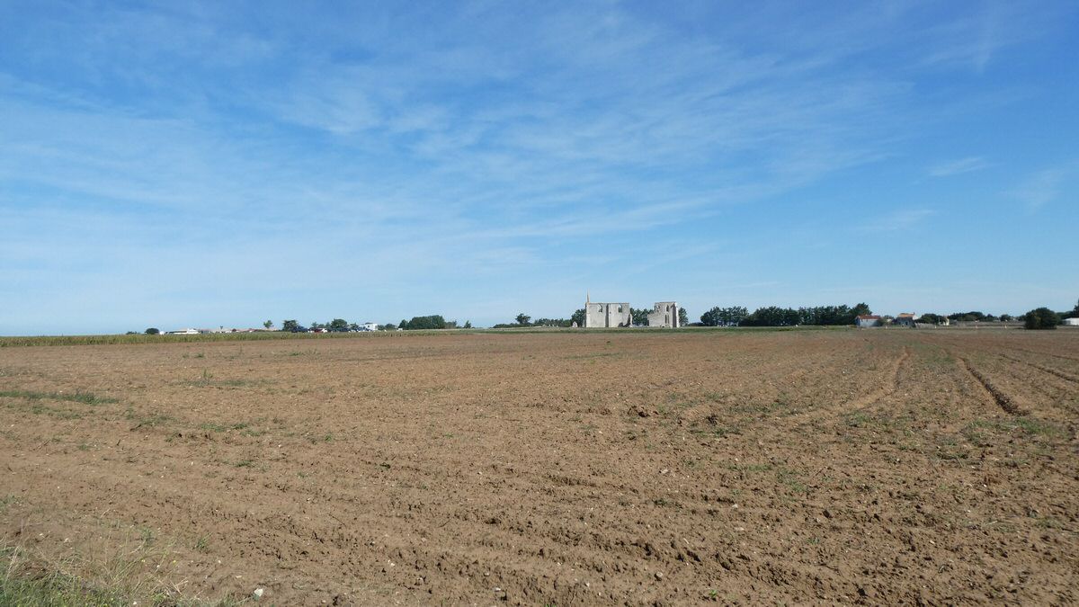 jeudi_045.jpg