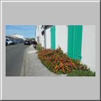 jeudi_049.jpg