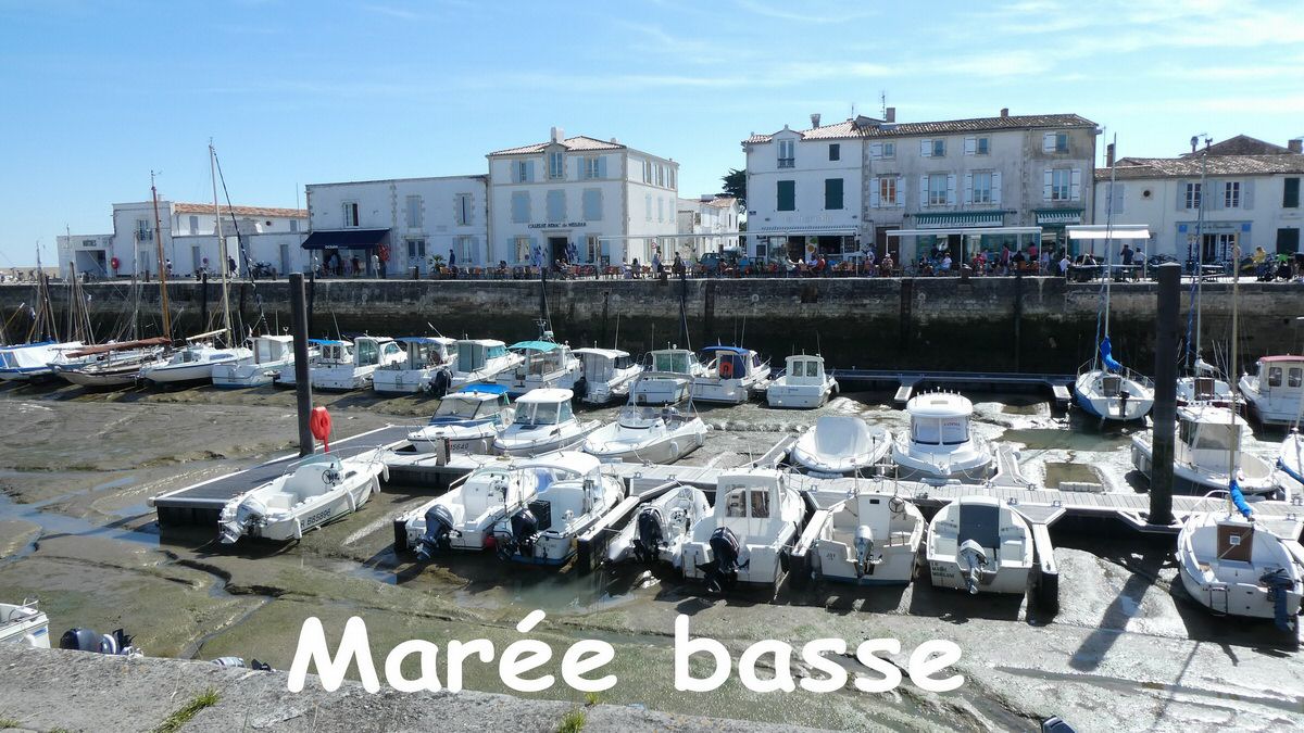 jeudi_051.jpg