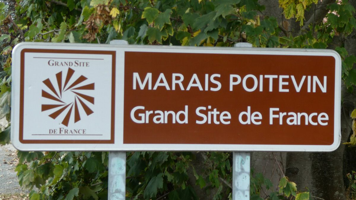 mardi_02.jpg