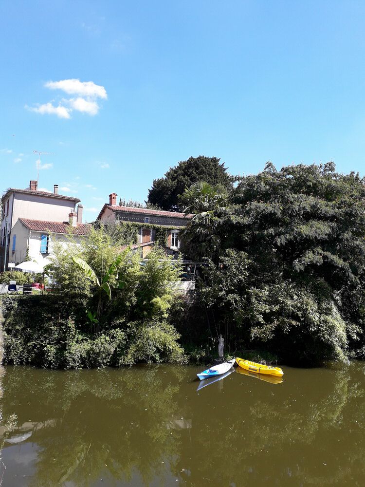 mercredi_34.jpg