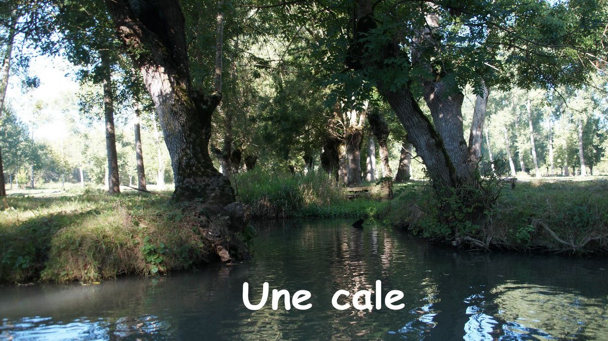vendredi_29.jpg