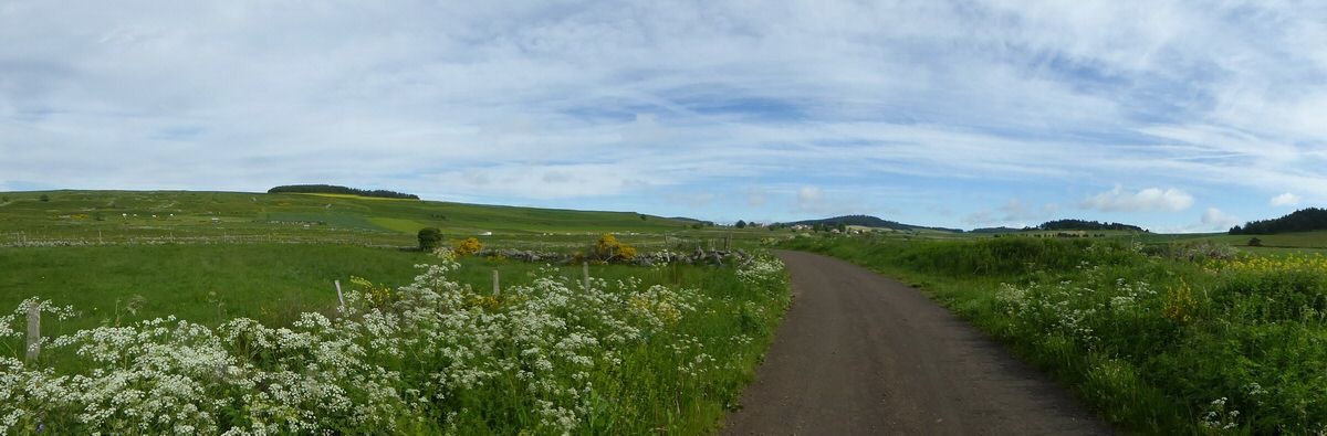 margeride_036.jpg