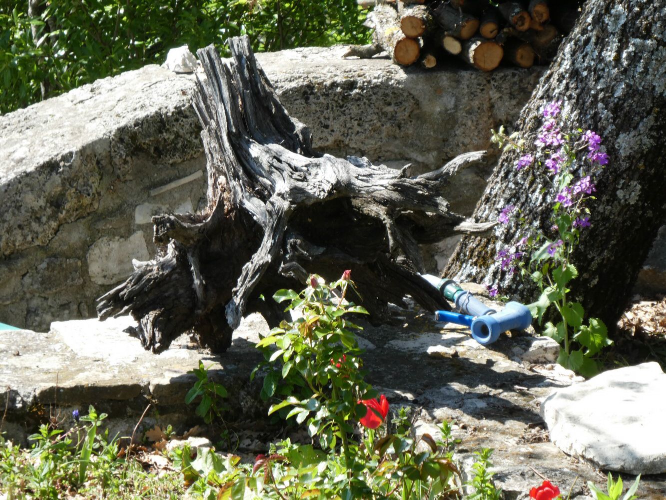 montjustin_0084.jpg