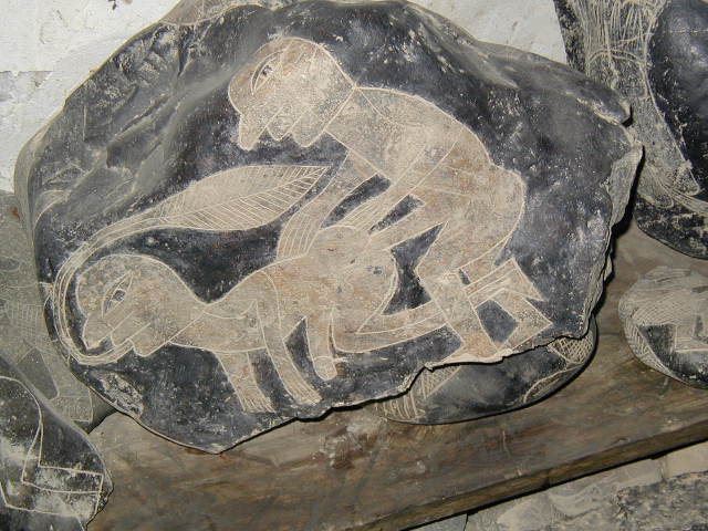 041.JPG