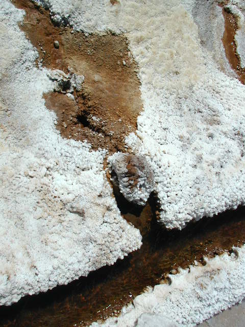 015.JPG