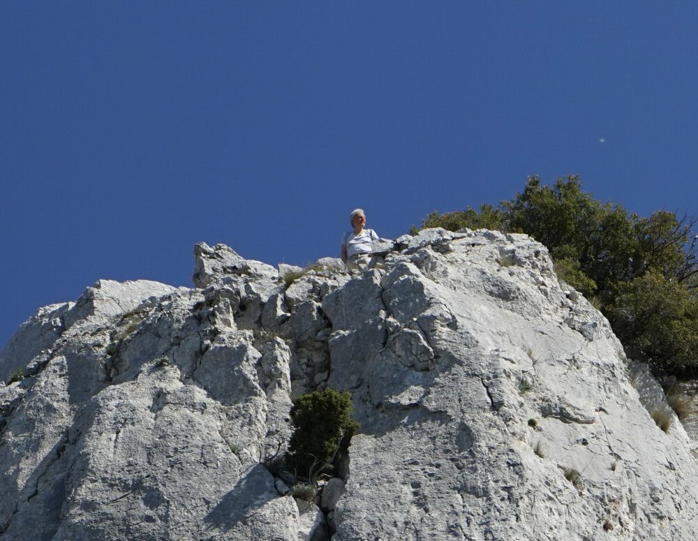 Regalon_04.jpg